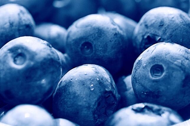 blueberries mo te kai ketogenic